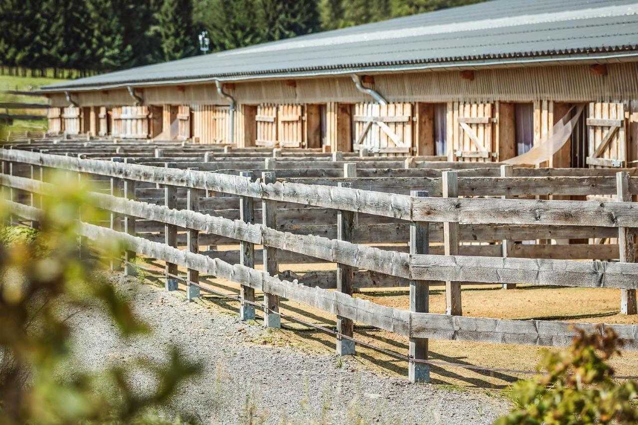 Ranchhouse Smoker- Westernstable - Horse Elterlein Esterno foto