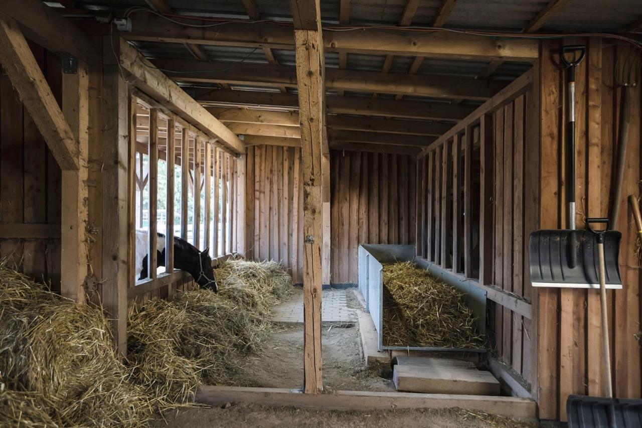 Ranchhouse Smoker- Westernstable - Horse Elterlein Esterno foto
