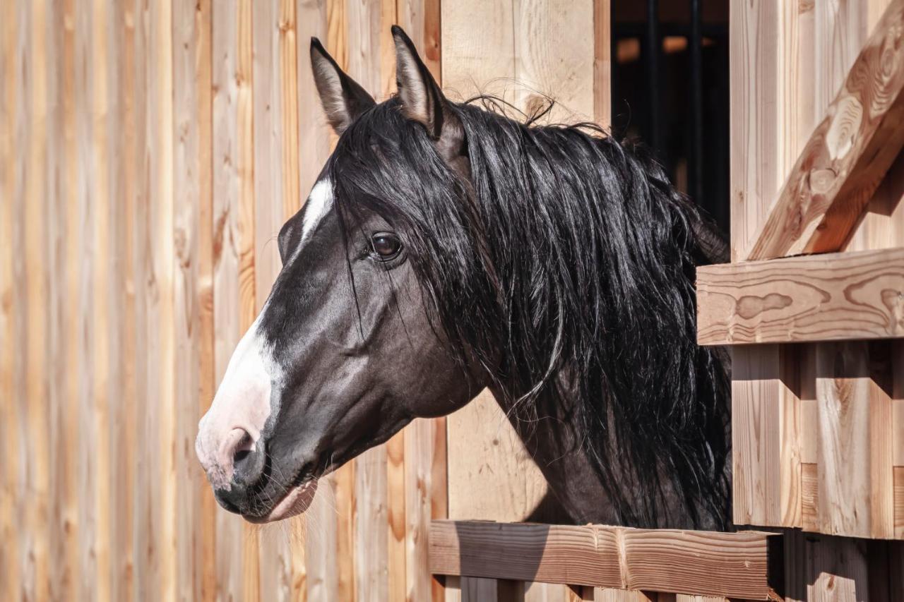 Ranchhouse Smoker- Westernstable - Horse Elterlein Esterno foto